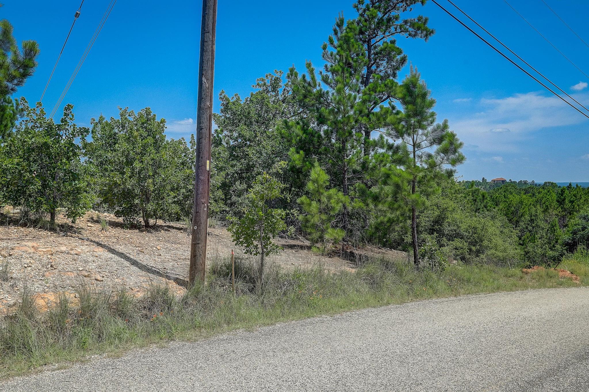 Lot 20 Tall Forest Dr, Bastrop, TX 78602