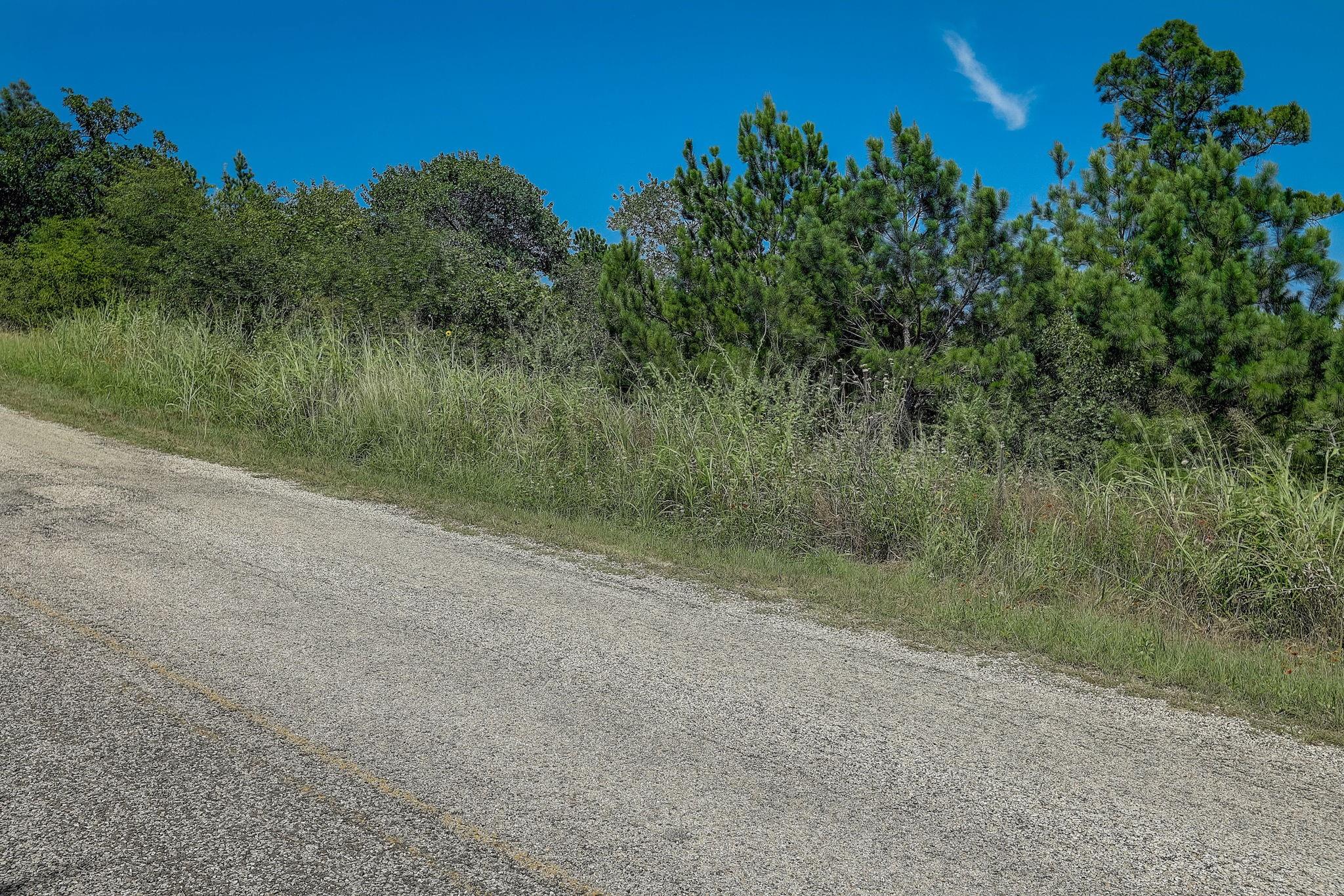 Lot 20 Tall Forest Dr, Bastrop, TX 78602