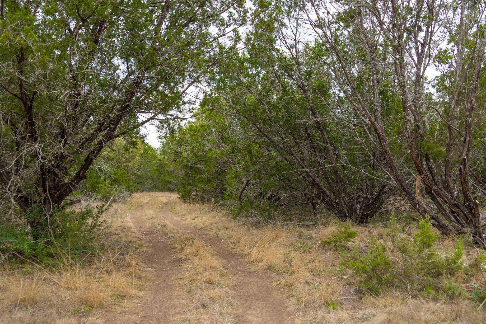 165 County Road 412, Goldthwaite, TX 76844