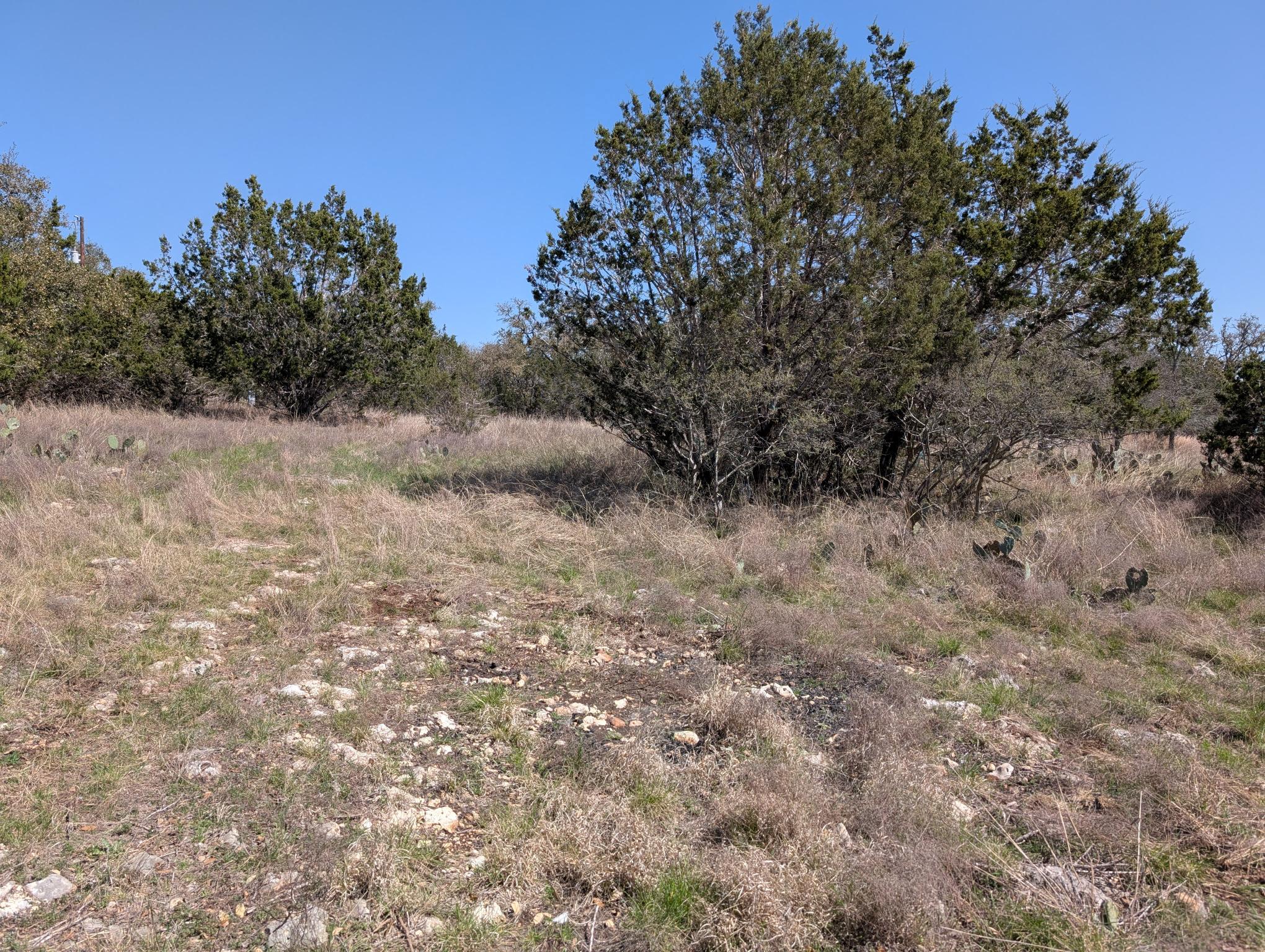508 Deer Creek Dr, San Marcos, TX 78666