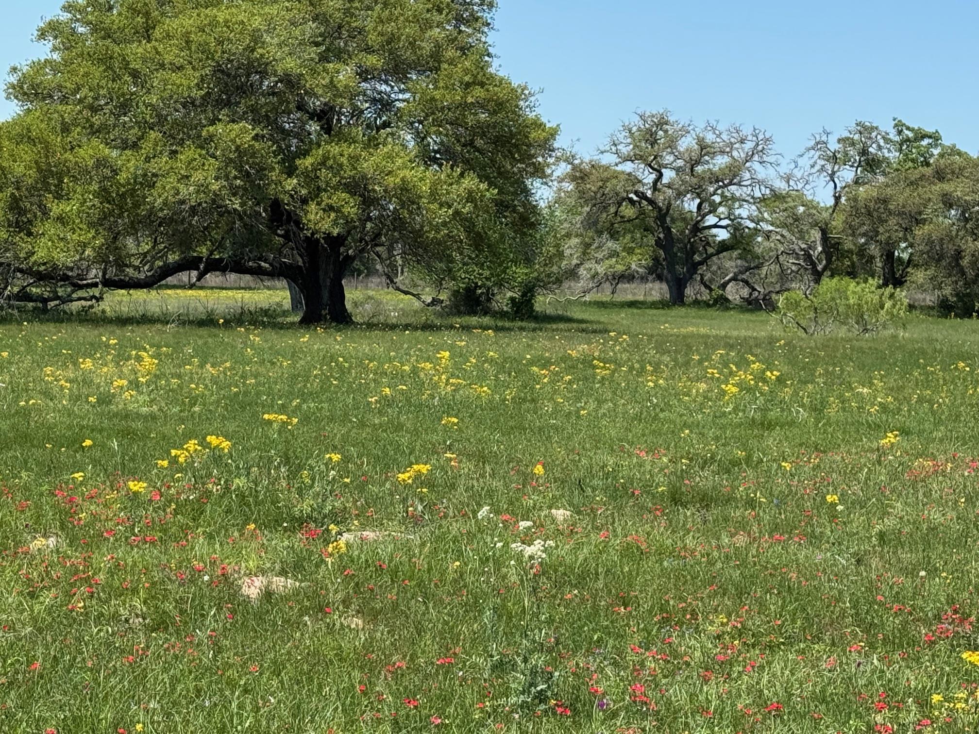 3817 FM 154 Rd, Muldoon, TX 78949