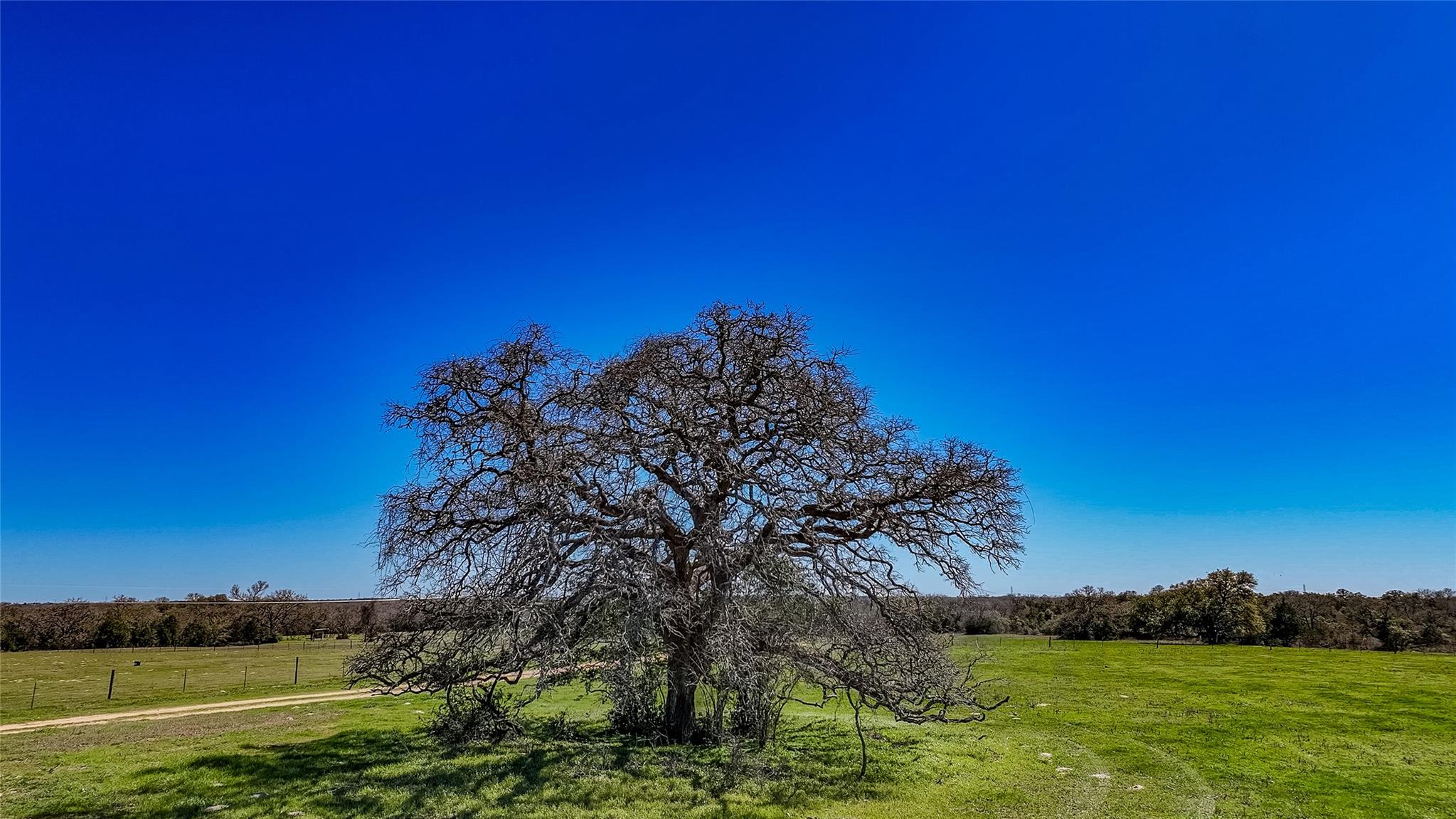 3817 FM 154 Rd, Muldoon, TX 78949