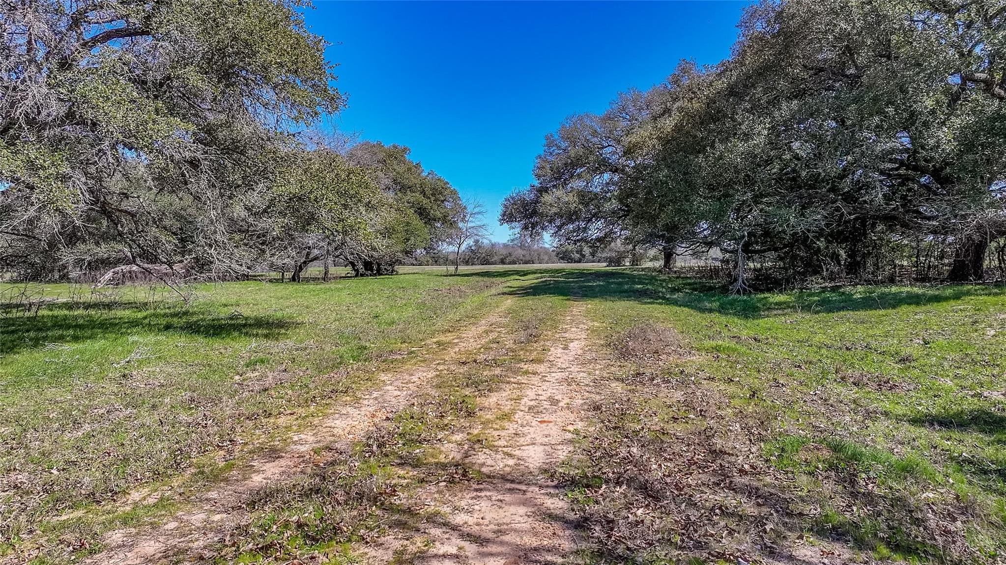 3817 FM 154 Rd, Muldoon, TX 78949