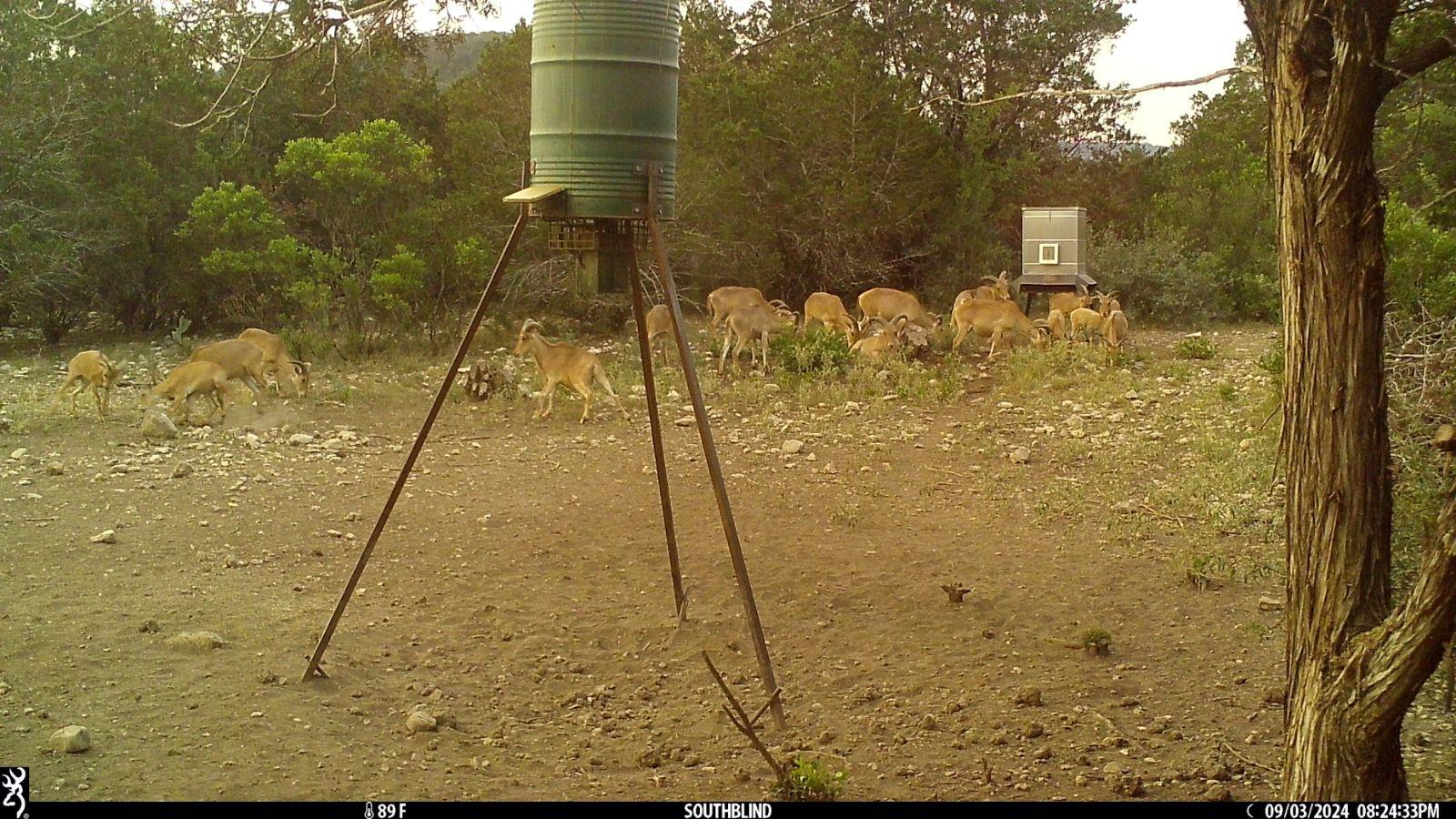 TBD Ranch Road 2631, Camp Wood, TX 78833