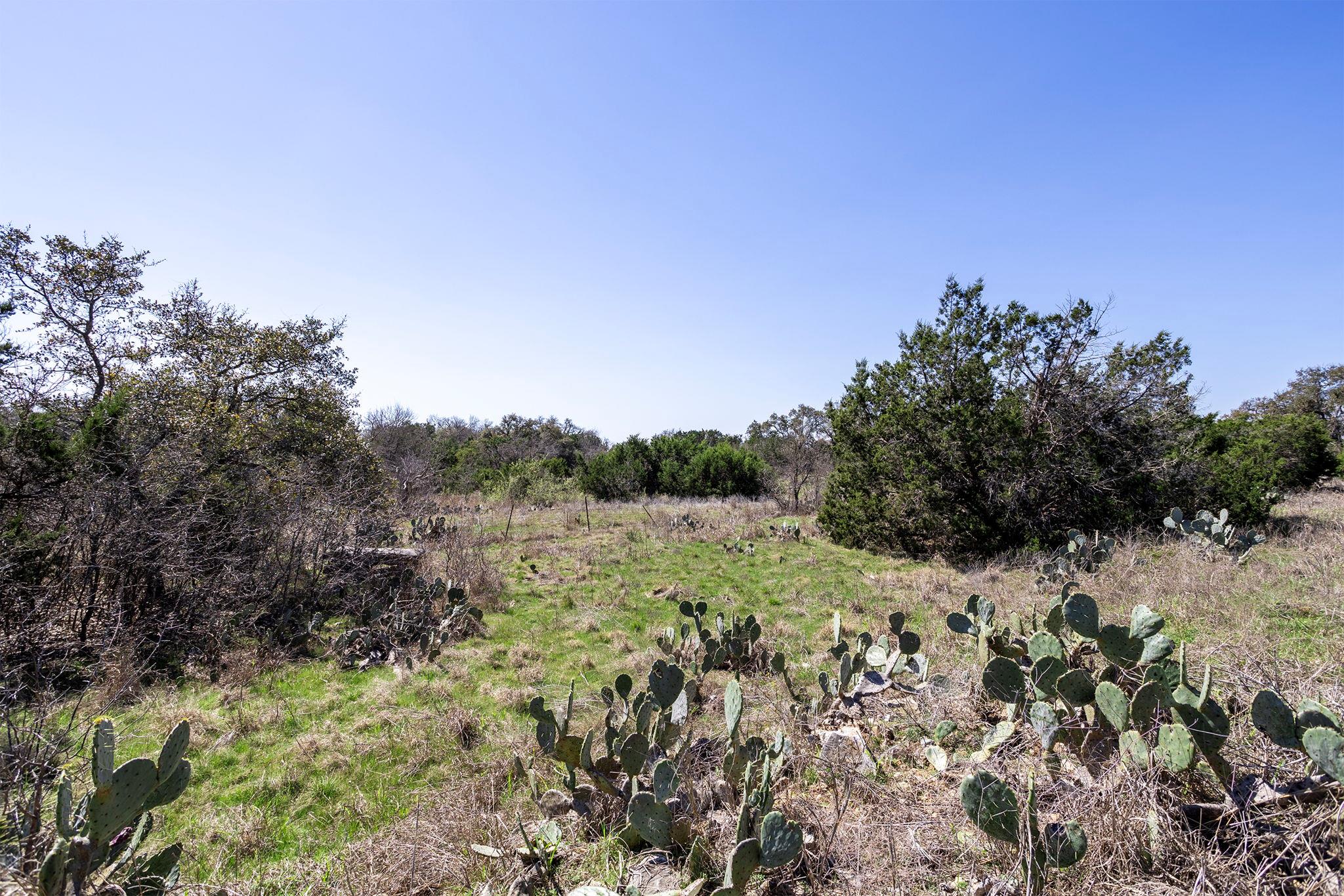 107 Tiller Dr, Georgetown, TX 78633