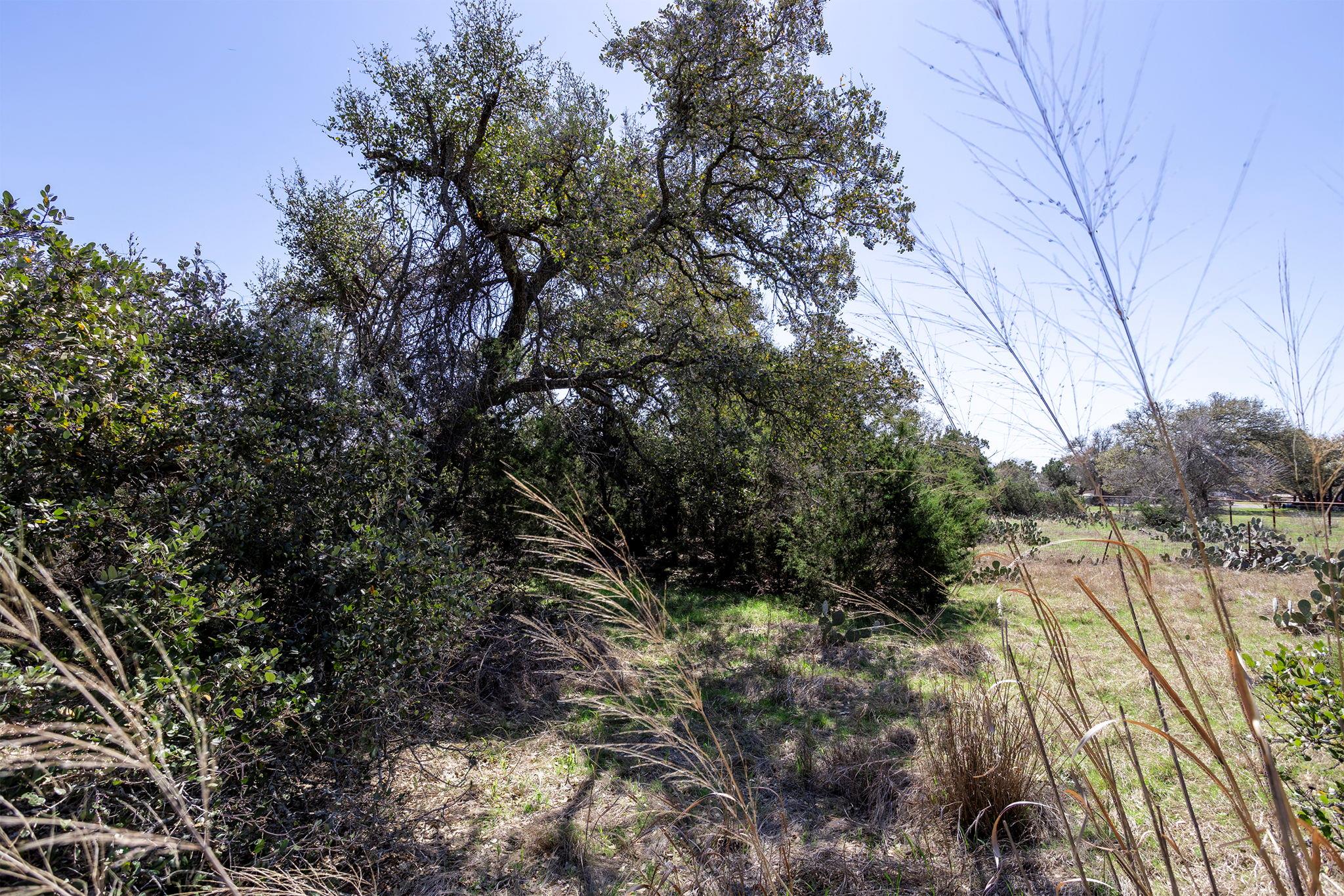 107 Tiller Dr, Georgetown, TX 78633