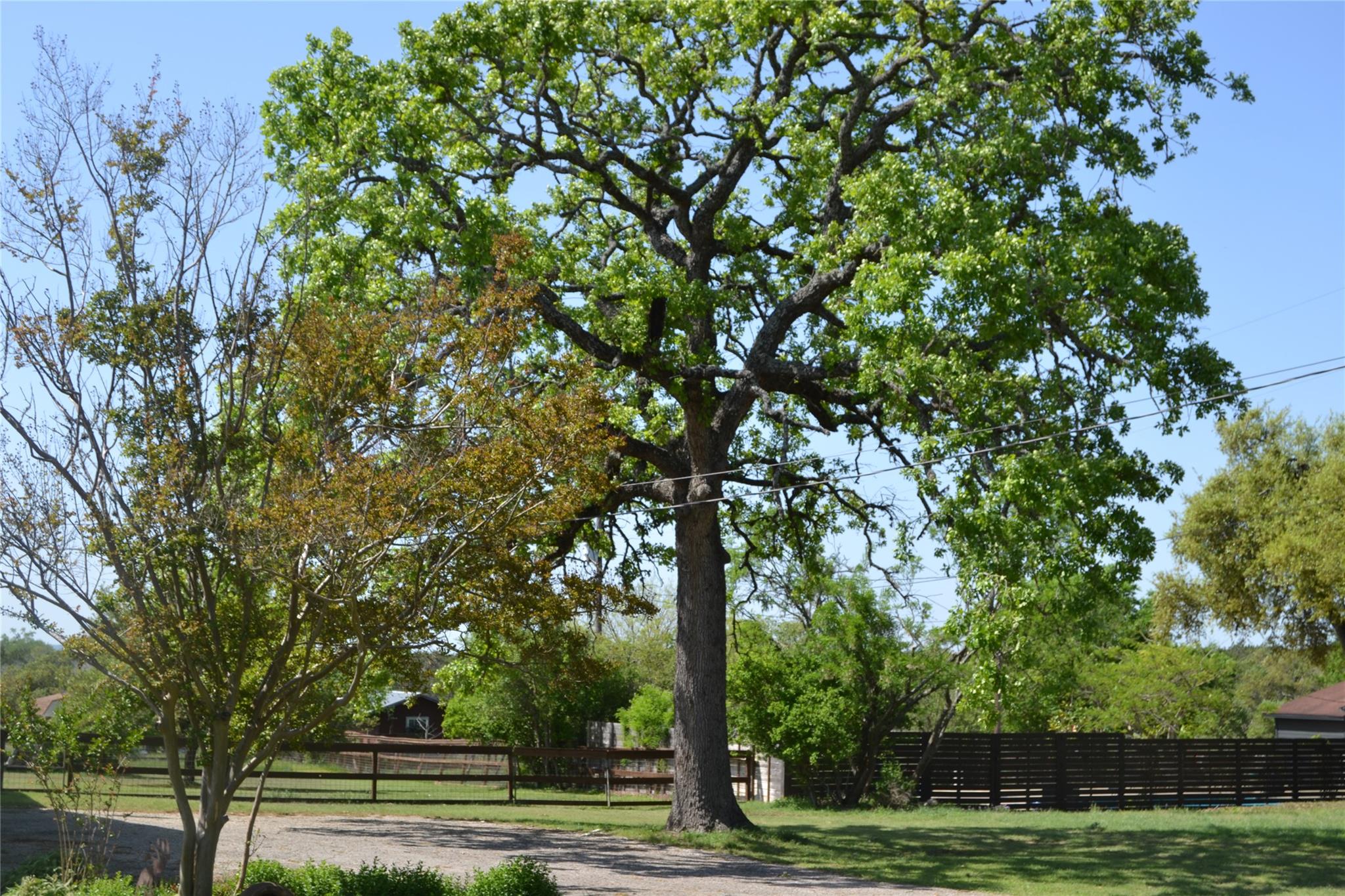 718 Post Oak Dr, Dripping Springs, TX 78620