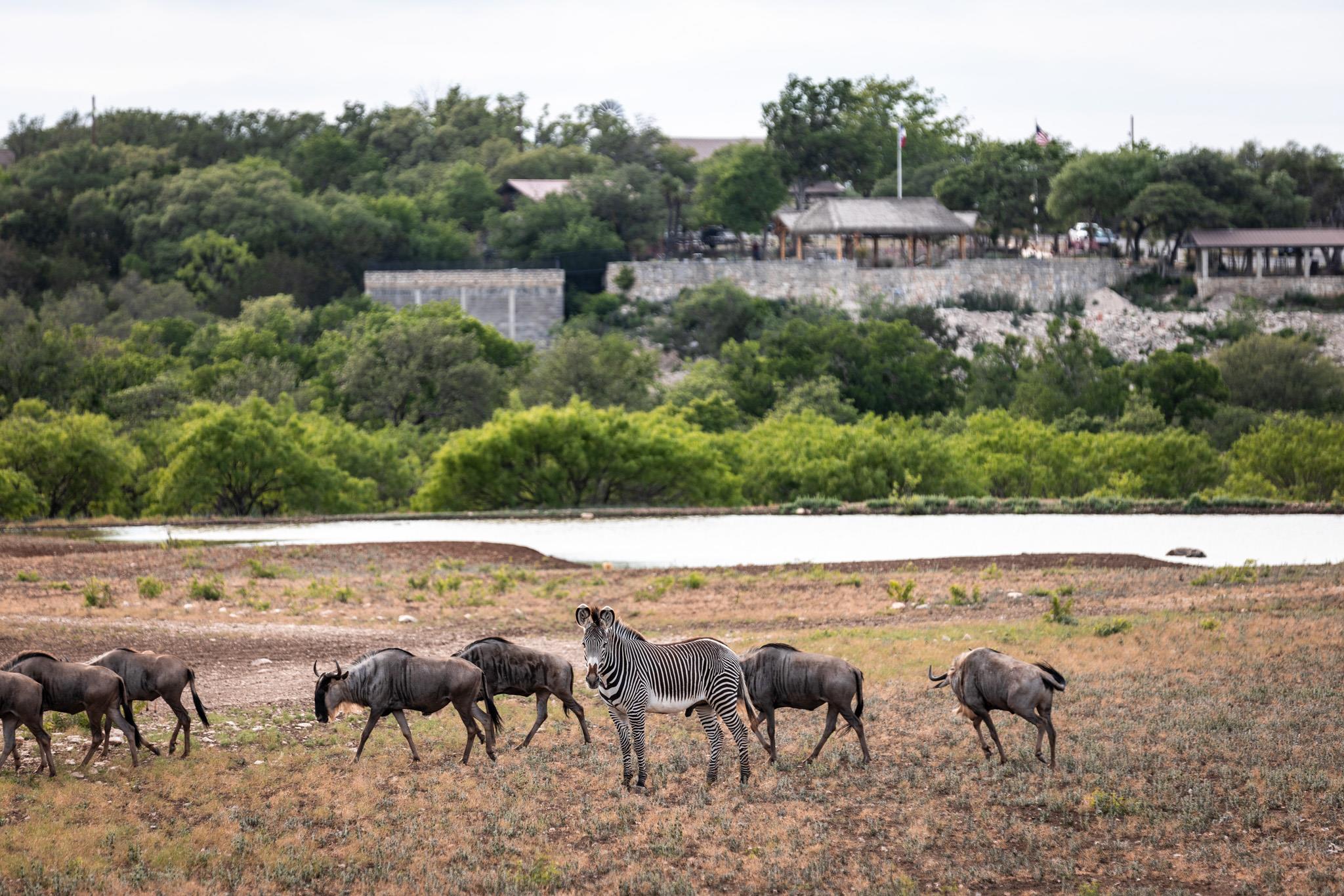 104 YO Ranch Road NW, Mountain Home, TX 78058