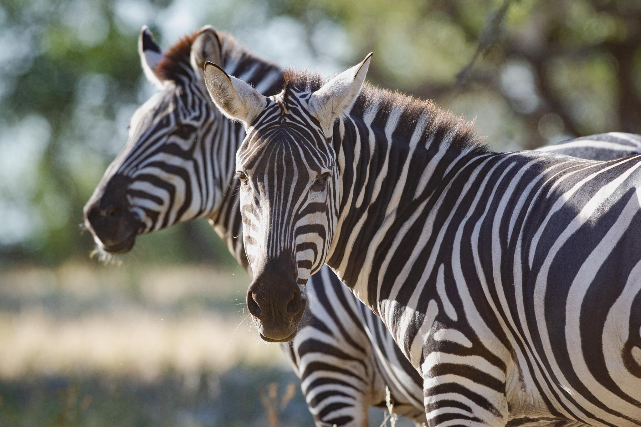 104 YO Ranch Road NW, Mountain Home, TX 78058