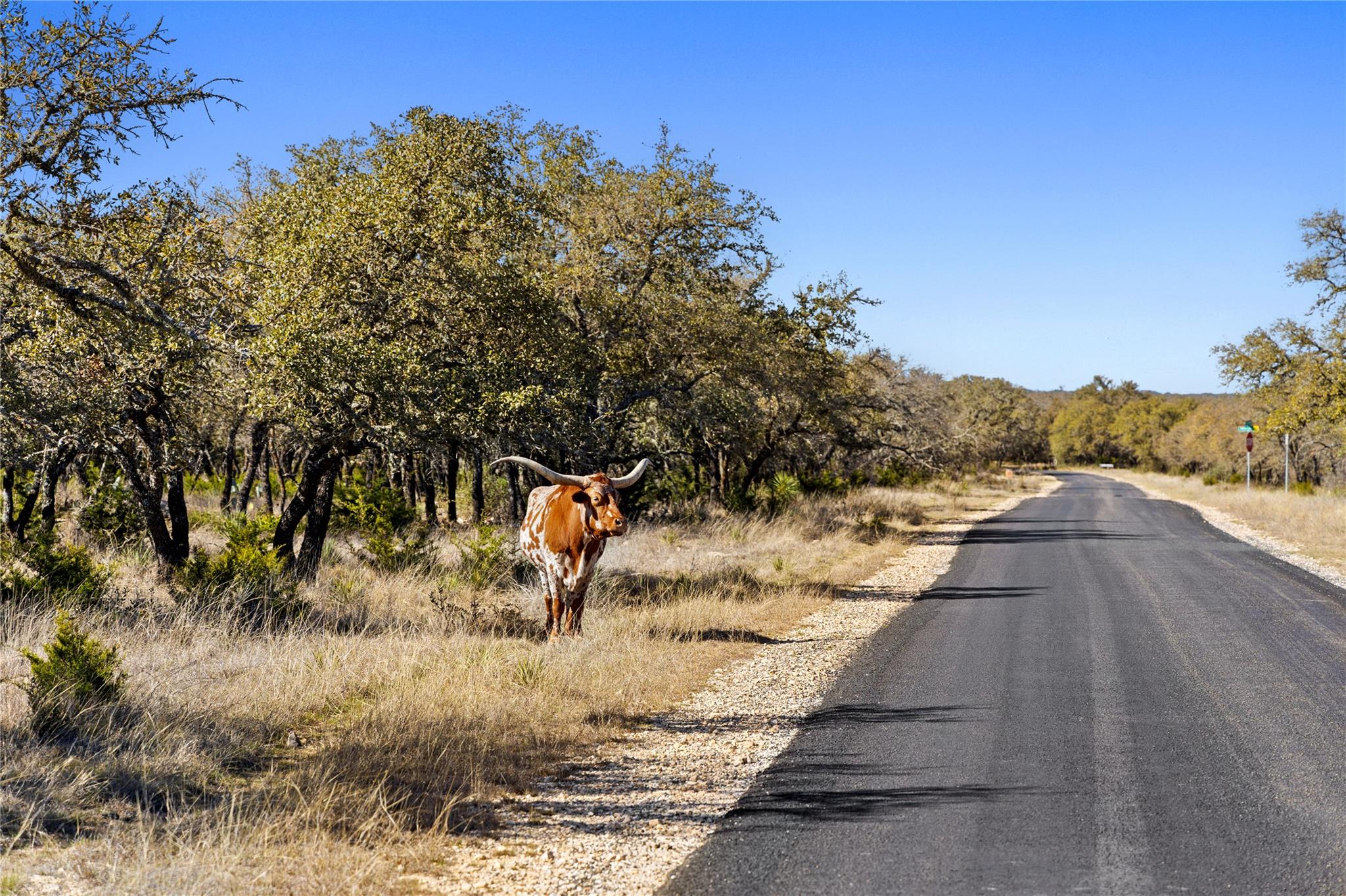 104 YO Ranch Road NW, Mountain Home, TX 78058