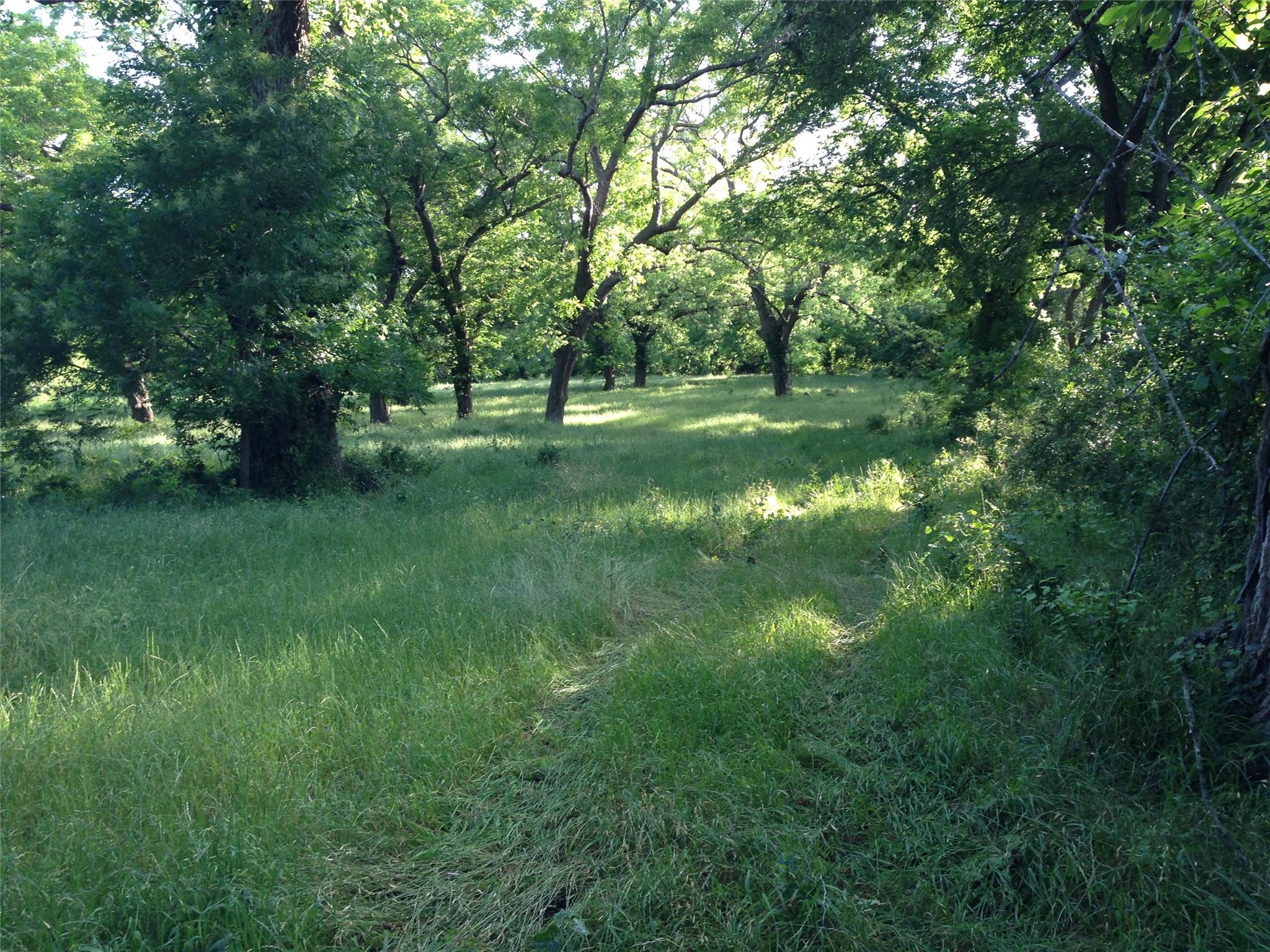 2464 County Road 249, Luling, TX 78648