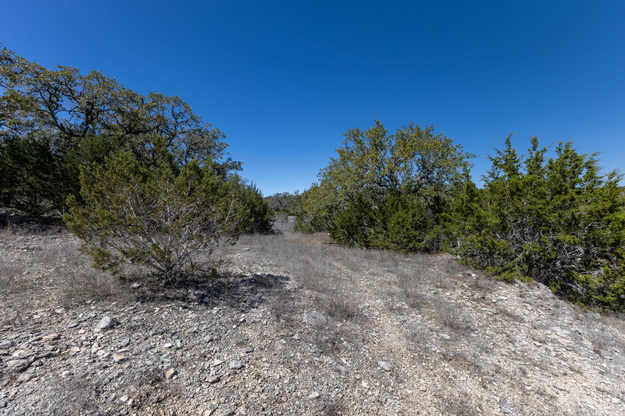 2228 San Jose Way, Canyon Lake, TX 78133