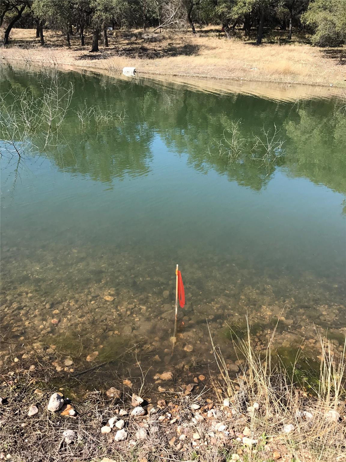 1304 Gold Ln, Leander, TX 78645