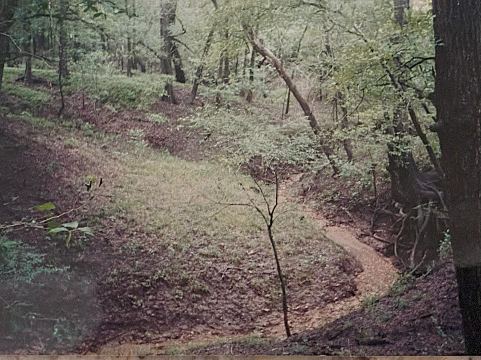 2464 County Road 249, Luling, TX 78648