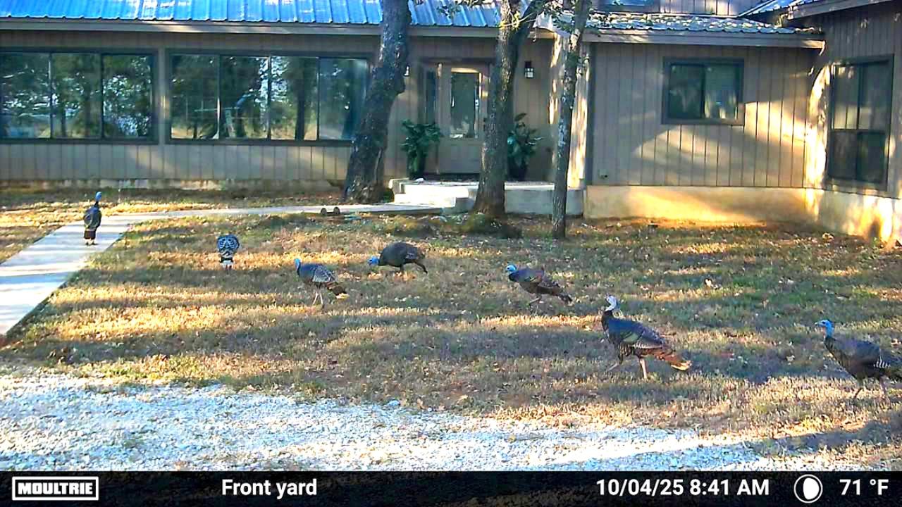 2464 County Road 249, Luling, TX 78648