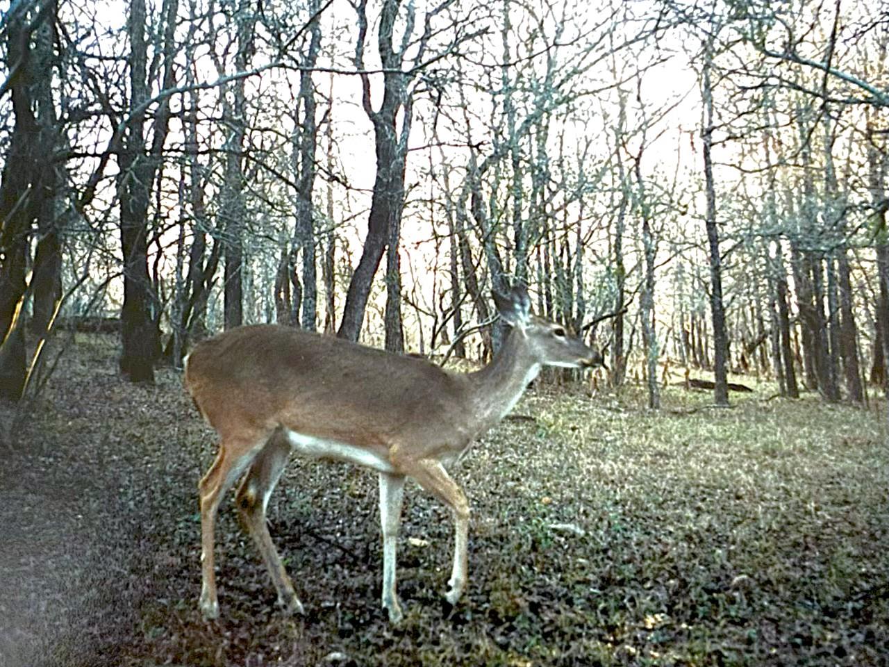 2464 County Road 249, Luling, TX 78648