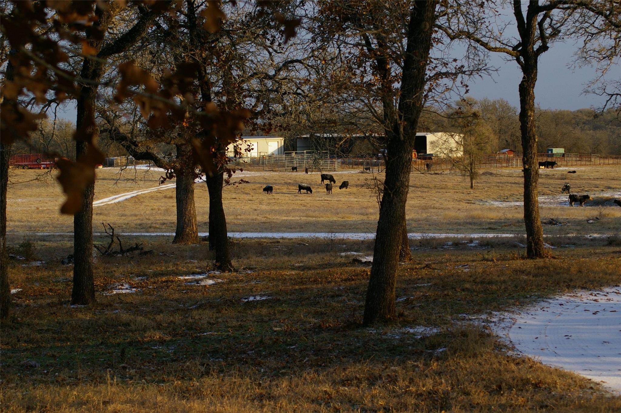 2464 County Road 249, Luling, TX 78648