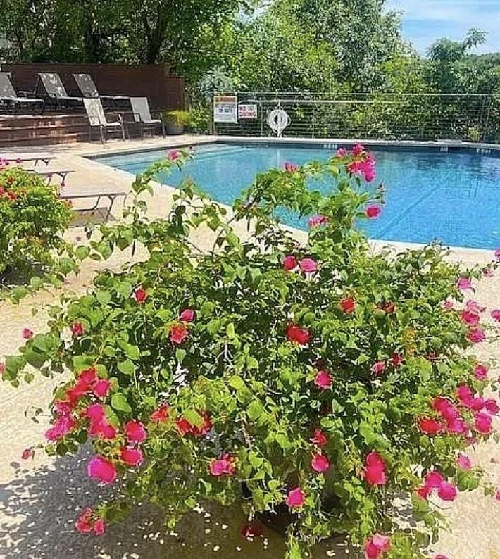 1821 Westlake Dr # 103, Austin, TX 78746