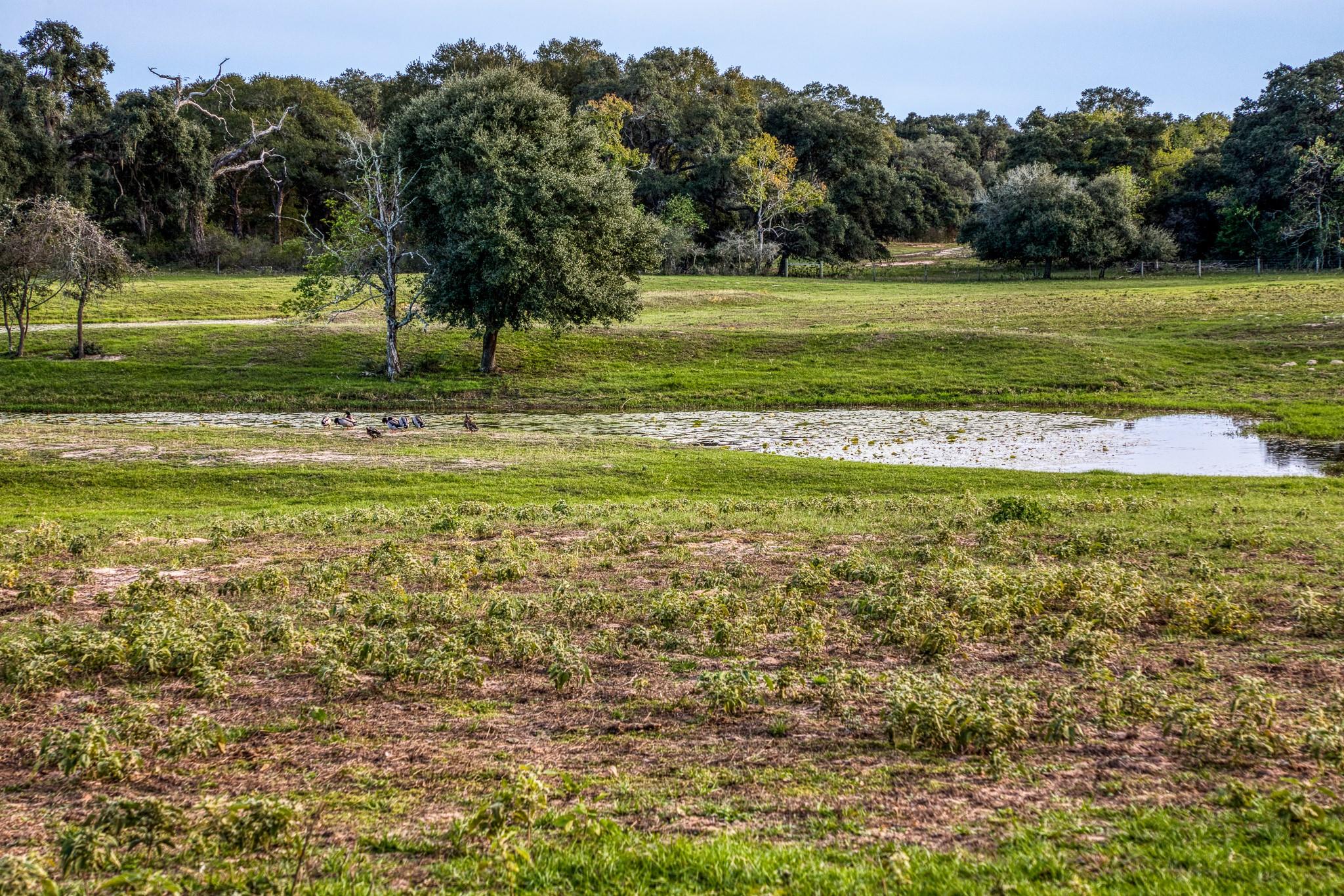 1224 Haines Rd, Sheridan, TX 77475