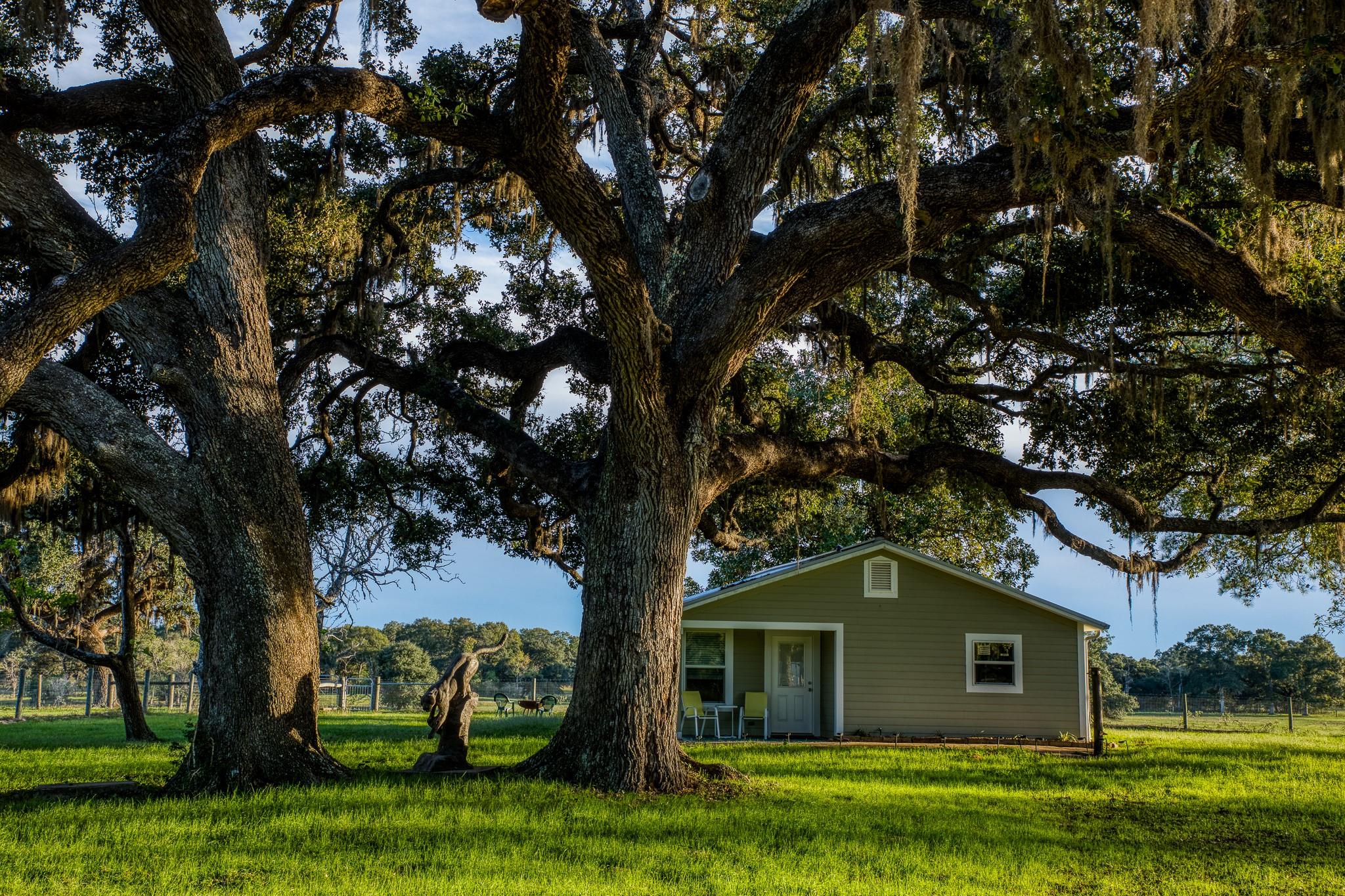 1224 Haines Rd, Sheridan, TX 77475