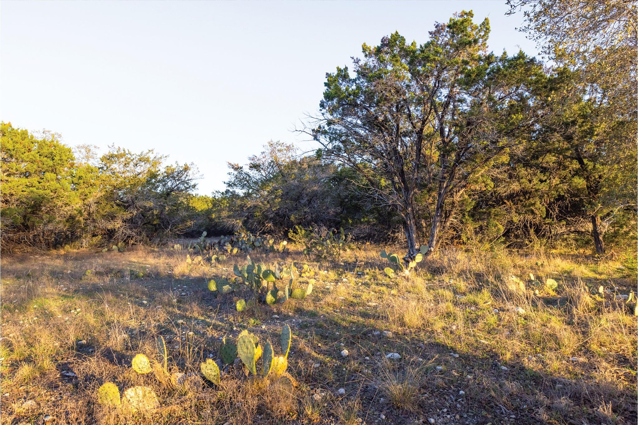 1906 Santa Rosa Ave, Lago Vista, TX 78645