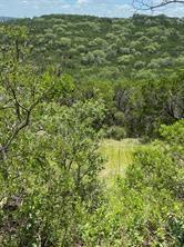 11351 Johnson Rd, Leander, TX 78641