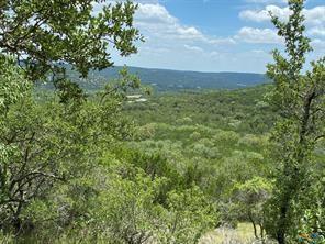 11351 Johnson Rd, Leander, TX 78641