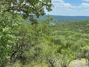 11351 Johnson Rd, Leander, TX 78641