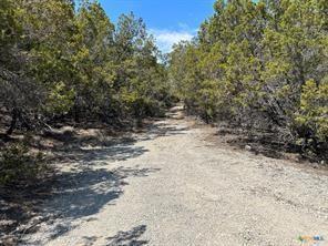 11351 Johnson Rd, Leander, TX 78641