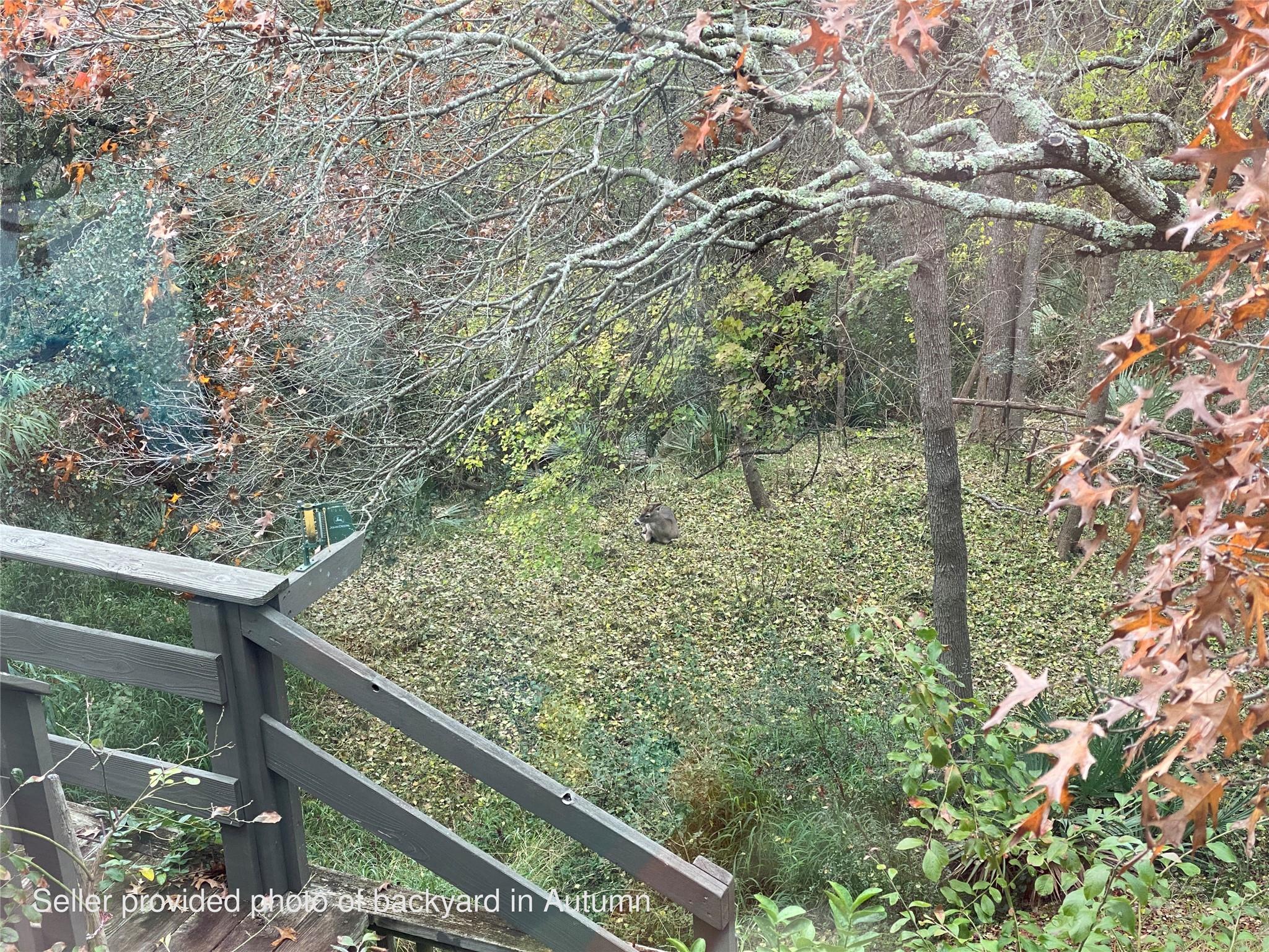 614 Sunfish St, Lakeway, TX 78734