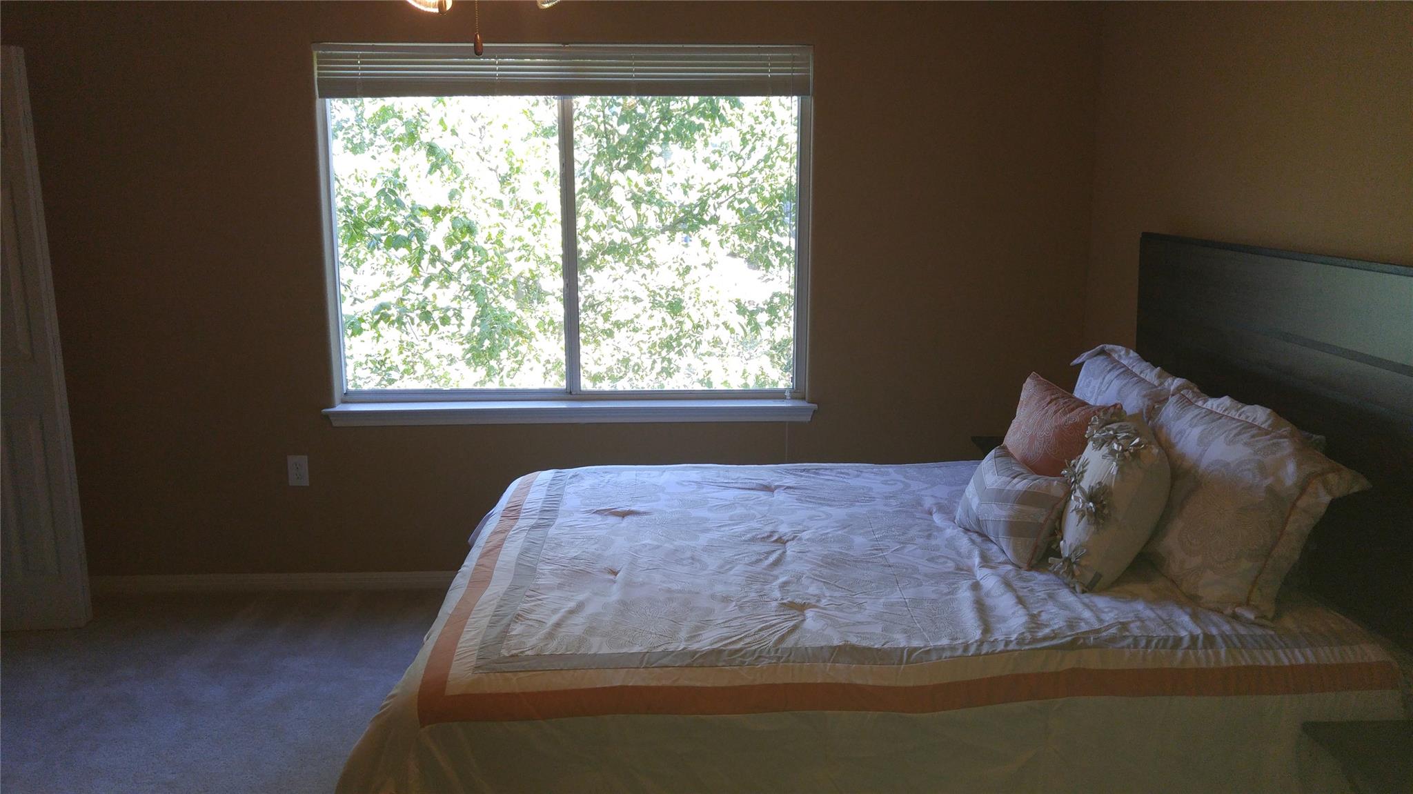 1110 Juniper St, Austin, TX 78702