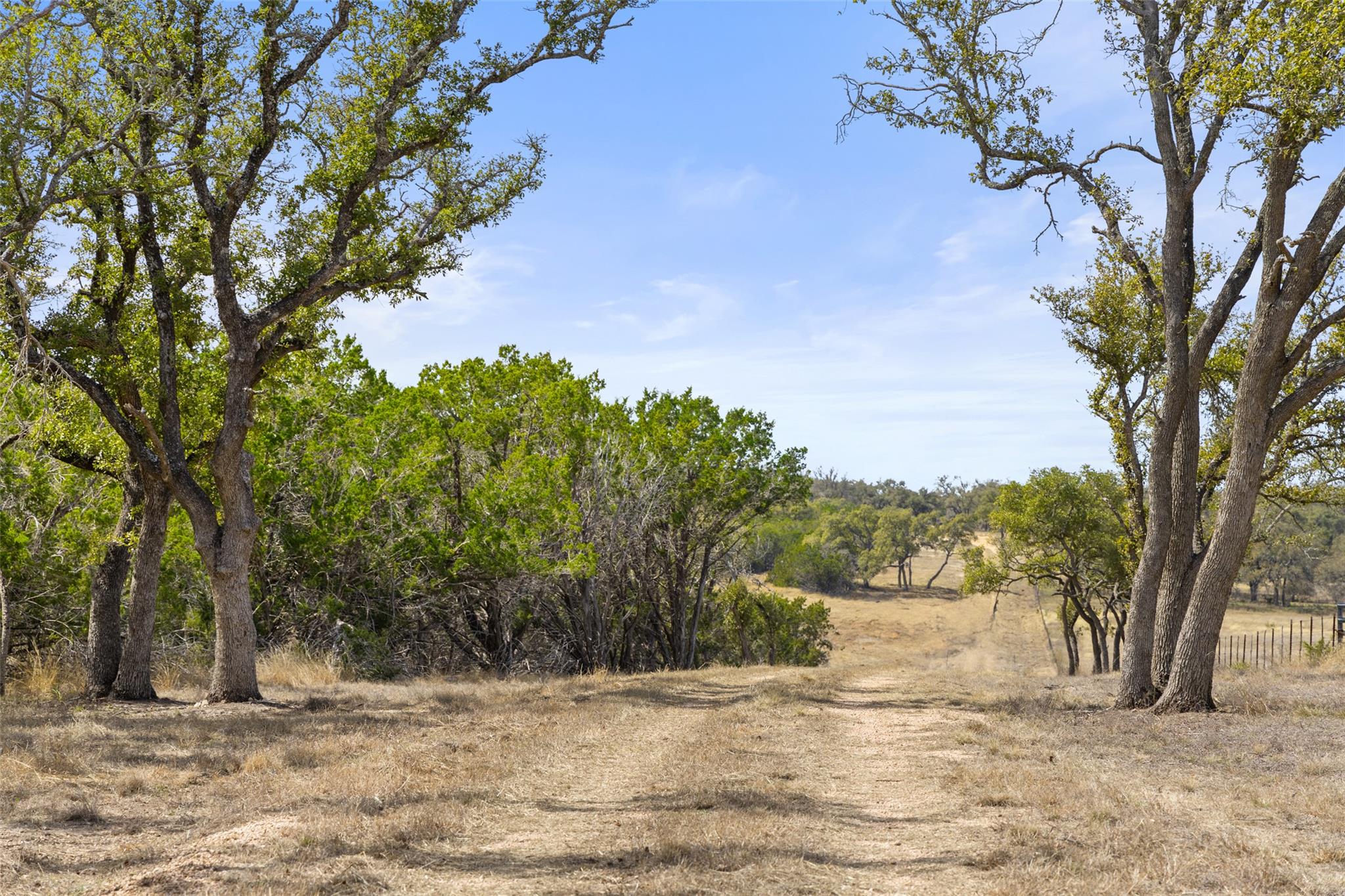 535 Becker Road, Johnson City, TX 78636