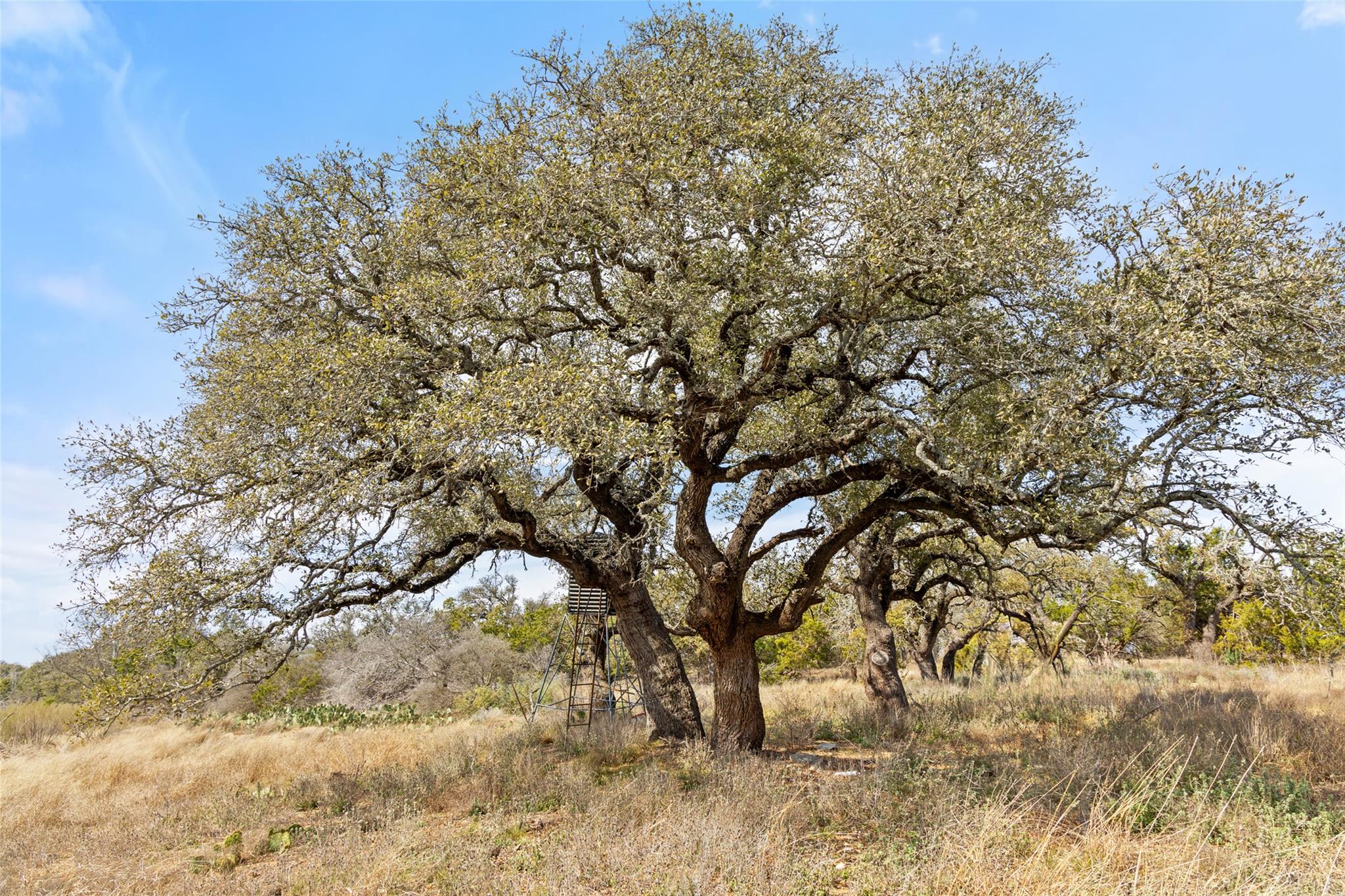 535 Becker Road, Johnson City, TX 78636