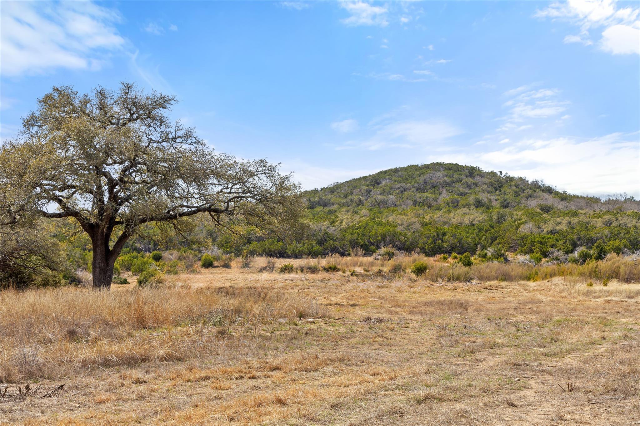 535 Becker Road, Johnson City, TX 78636