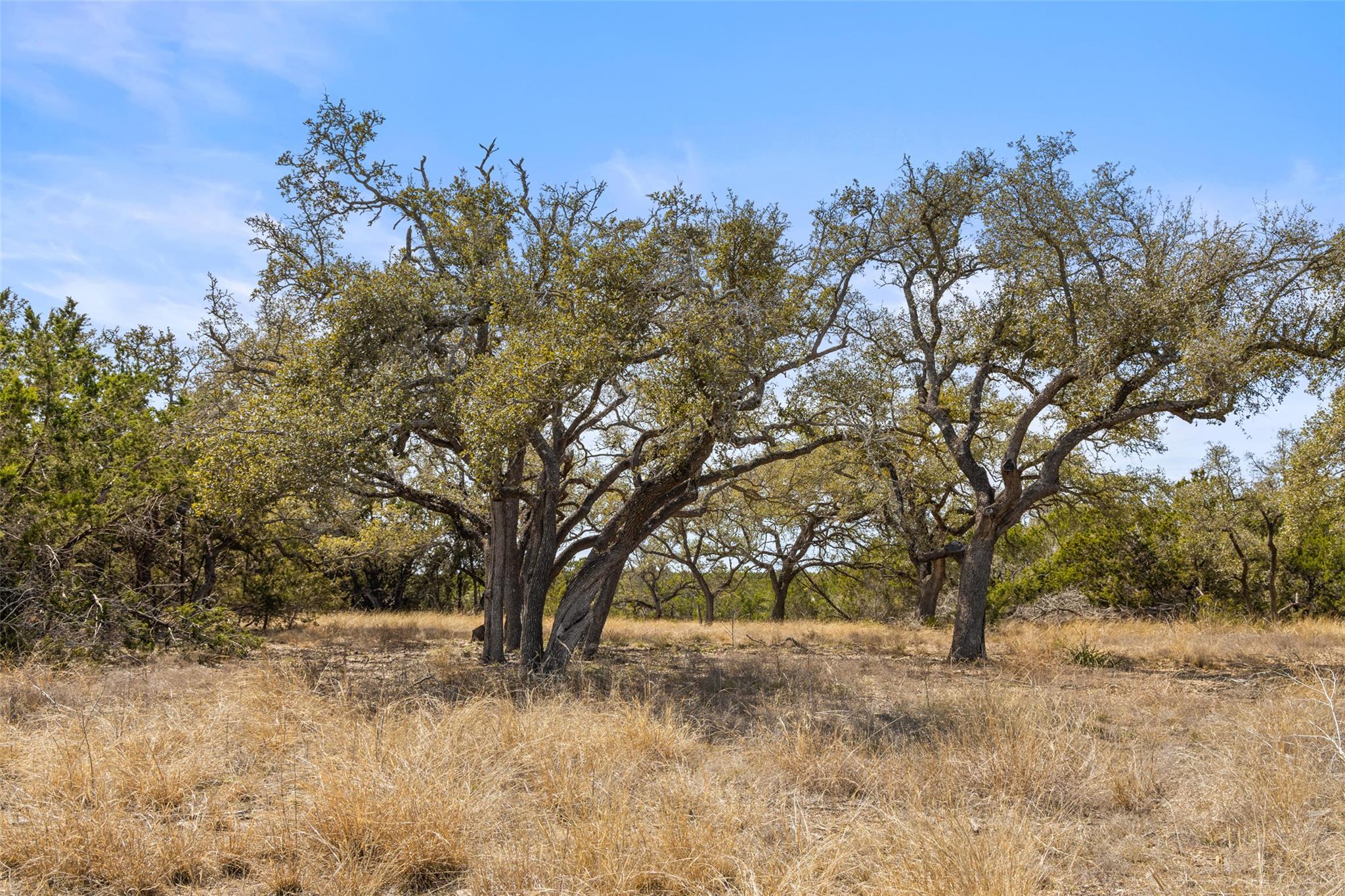 535 Becker Road, Johnson City, TX 78636