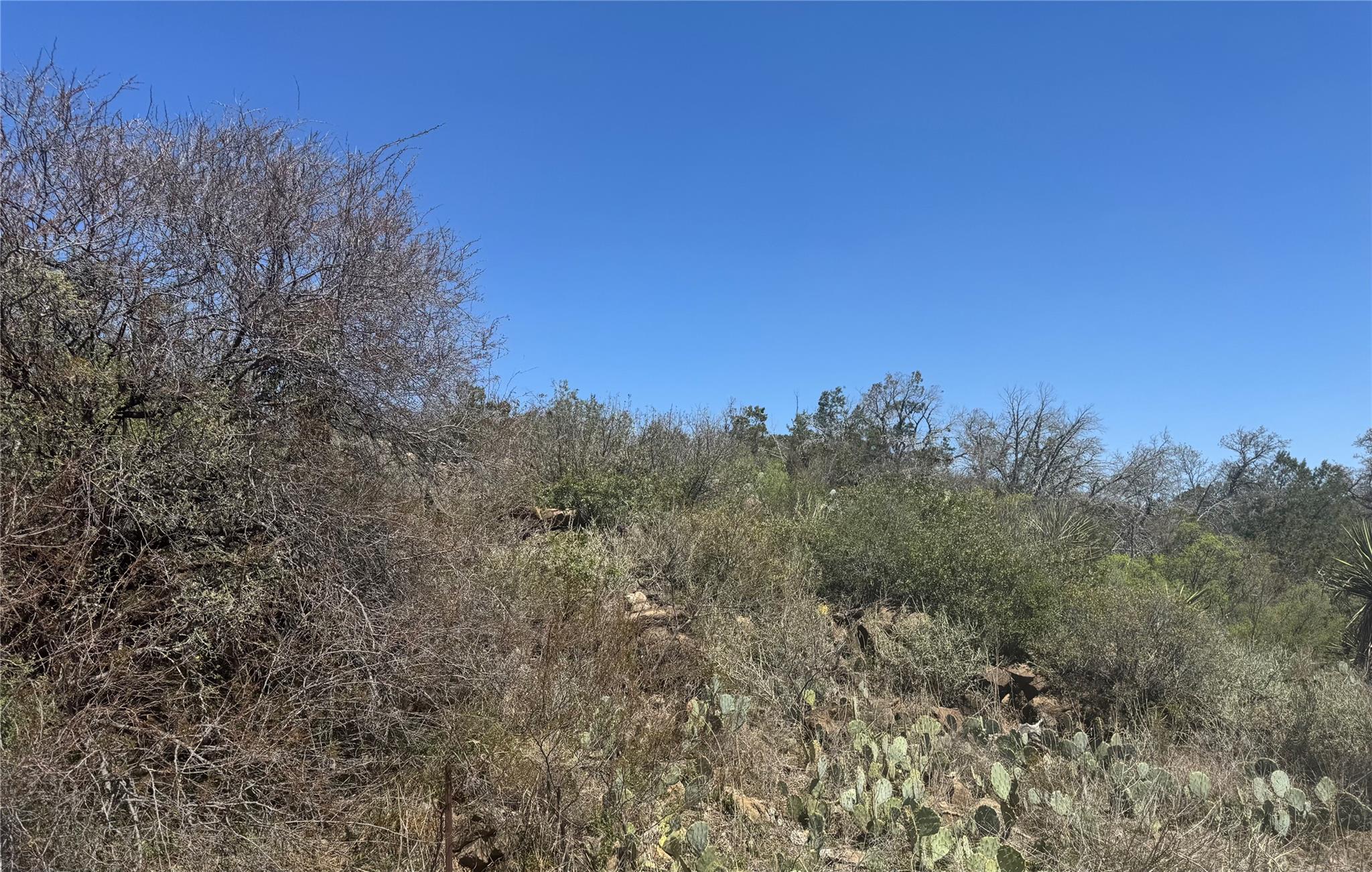 Lot 56 War Bonnet Rdg, Kingsland, TX 78639