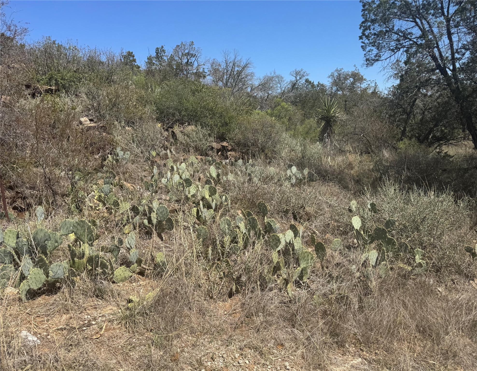 Lot 56 War Bonnet Rdg, Kingsland, TX 78639