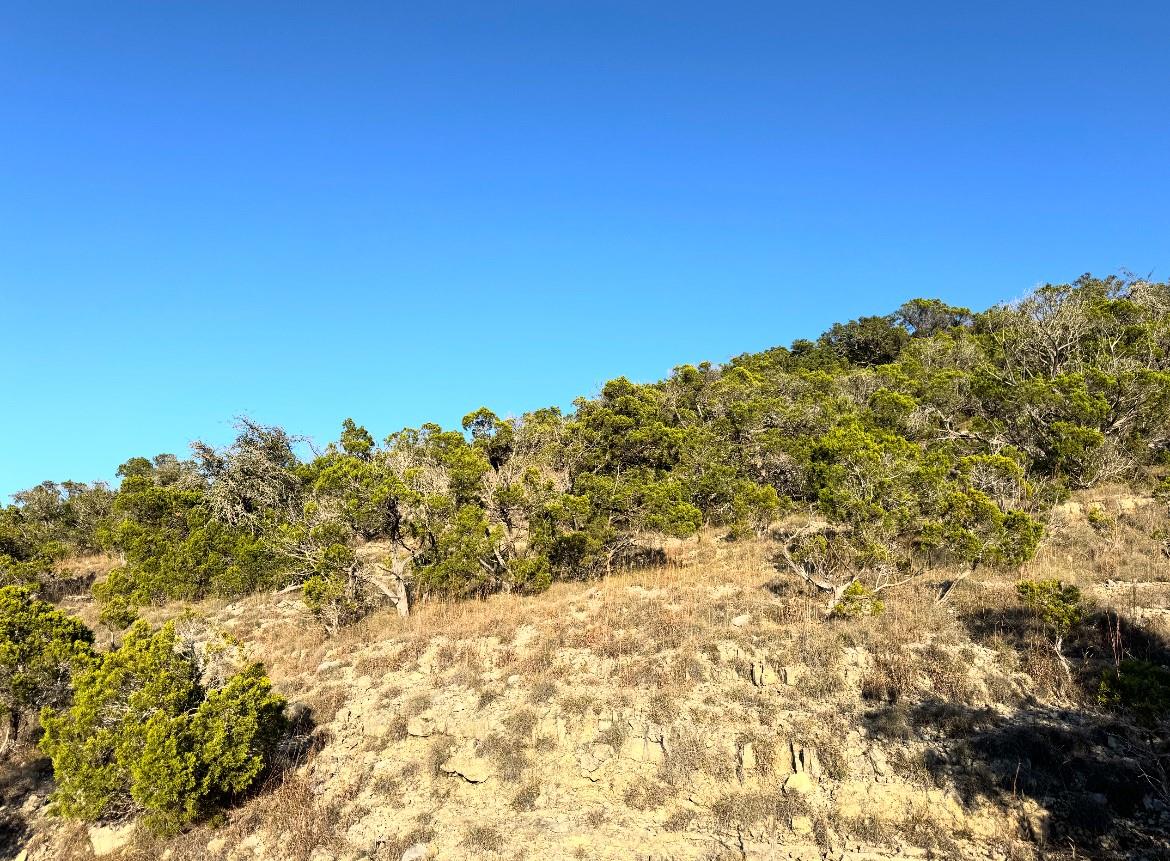 1220 Serenity, Fischer, TX 78623