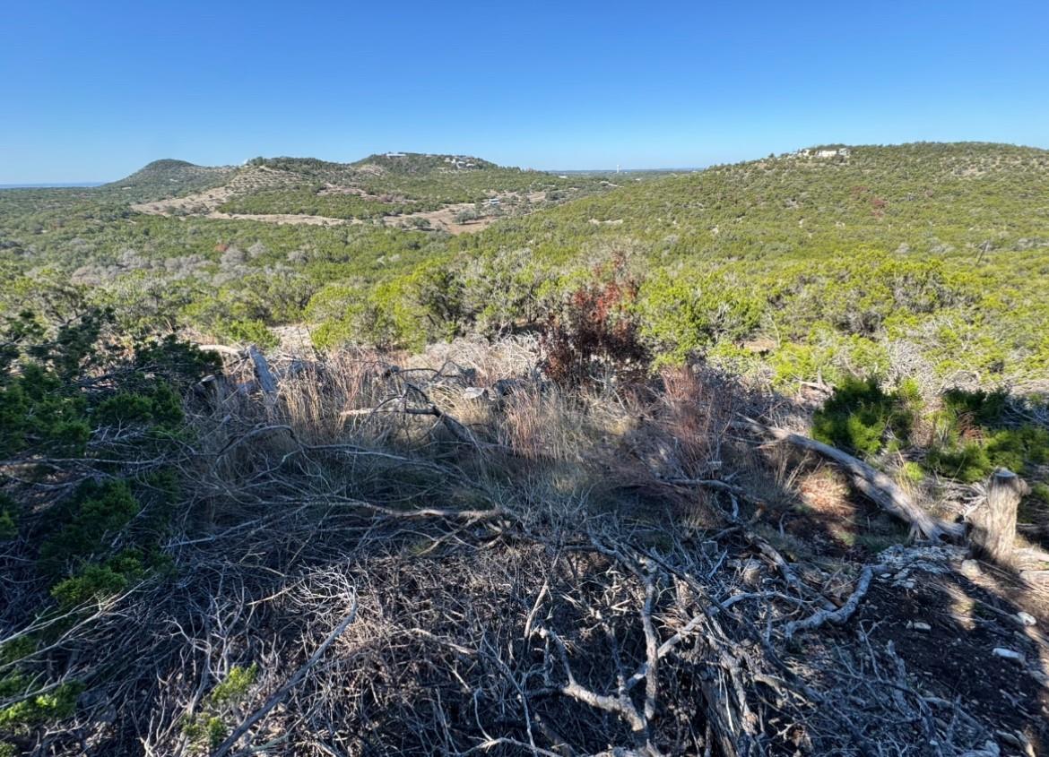 1220 Serenity, Fischer, TX 78623