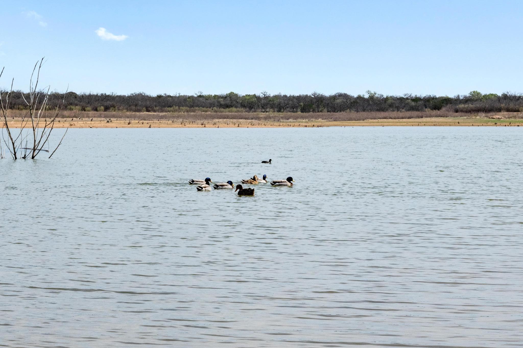 126 Lakeview Dr, Buchanan Dam, TX 78609