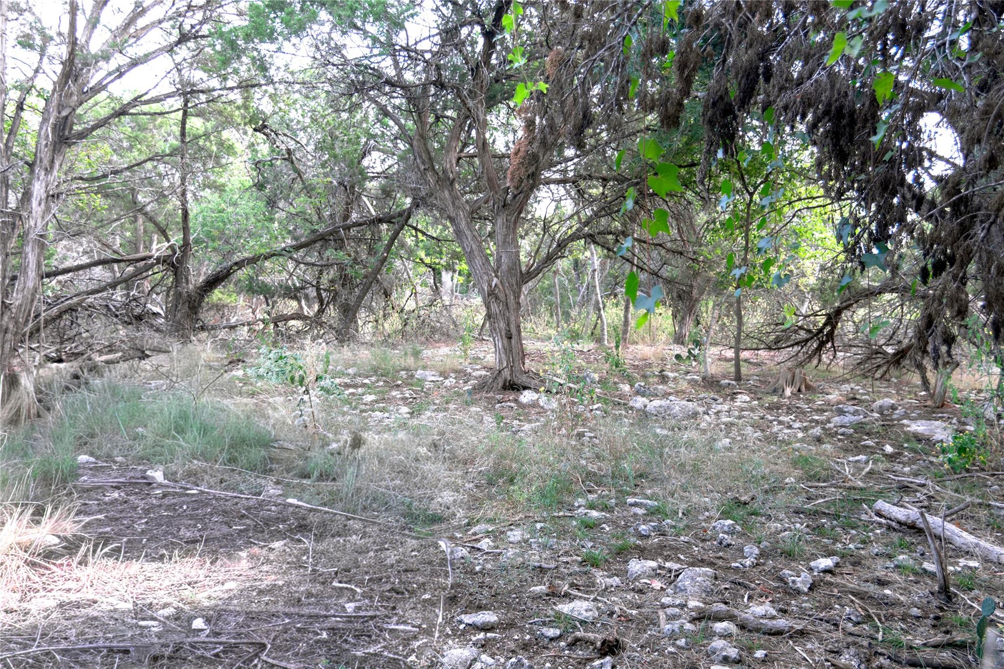 16353 Charlya Dr, Temple, TX 76502