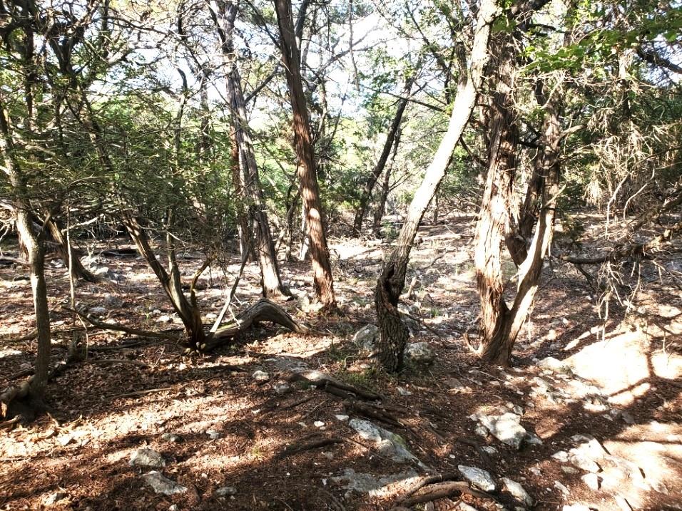 16353 Charlya Dr, Temple, TX 76502