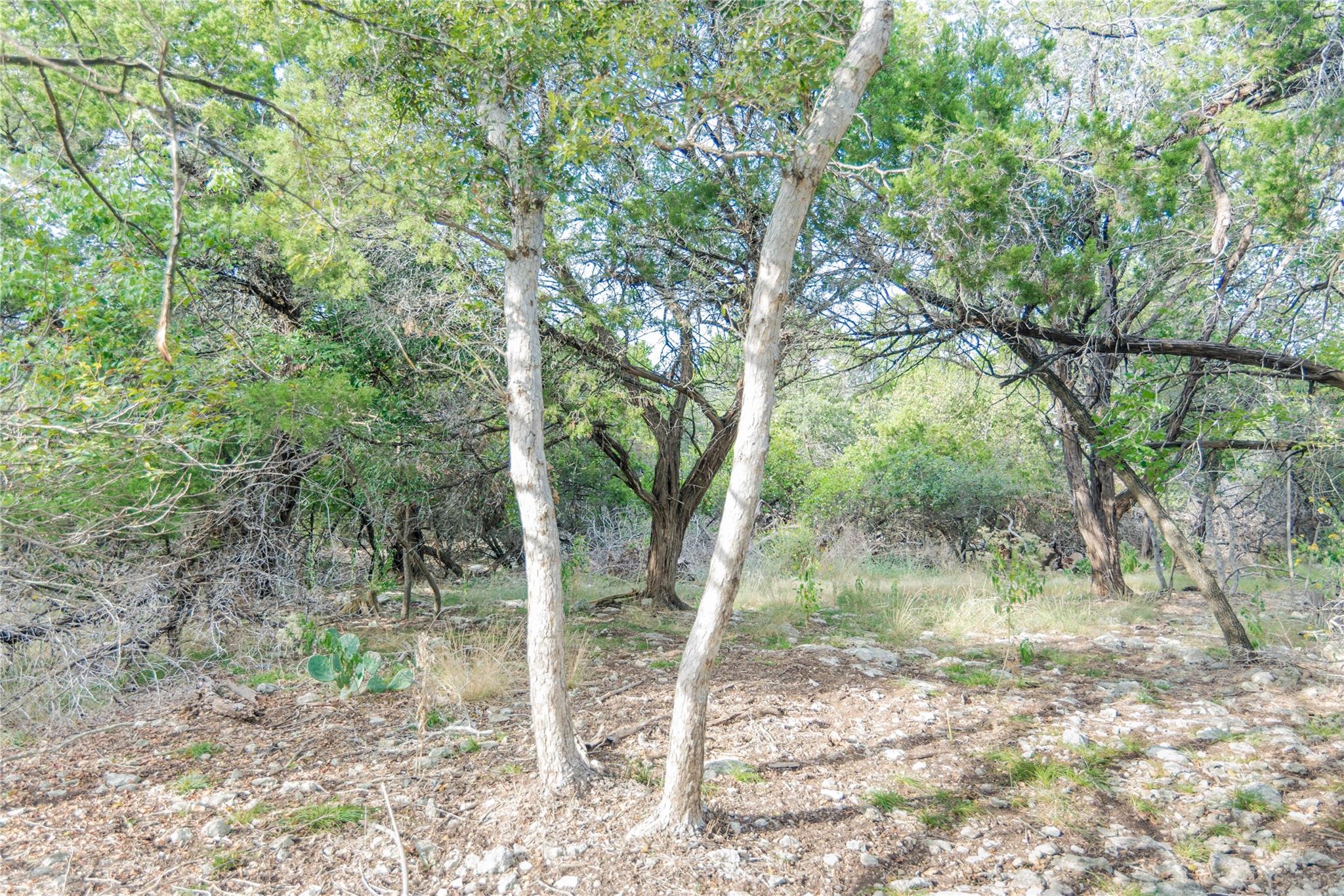 16353 Charlya Dr, Temple, TX 76502