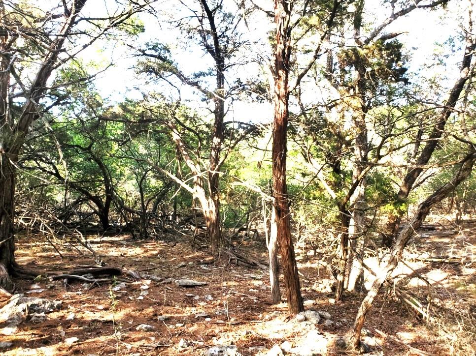 16353 Charlya Dr, Temple, TX 76502