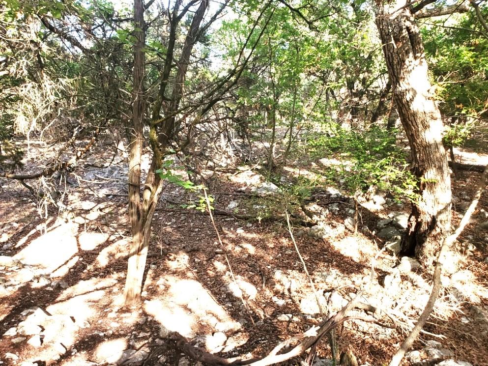 16353 Charlya Dr, Temple, TX 76502