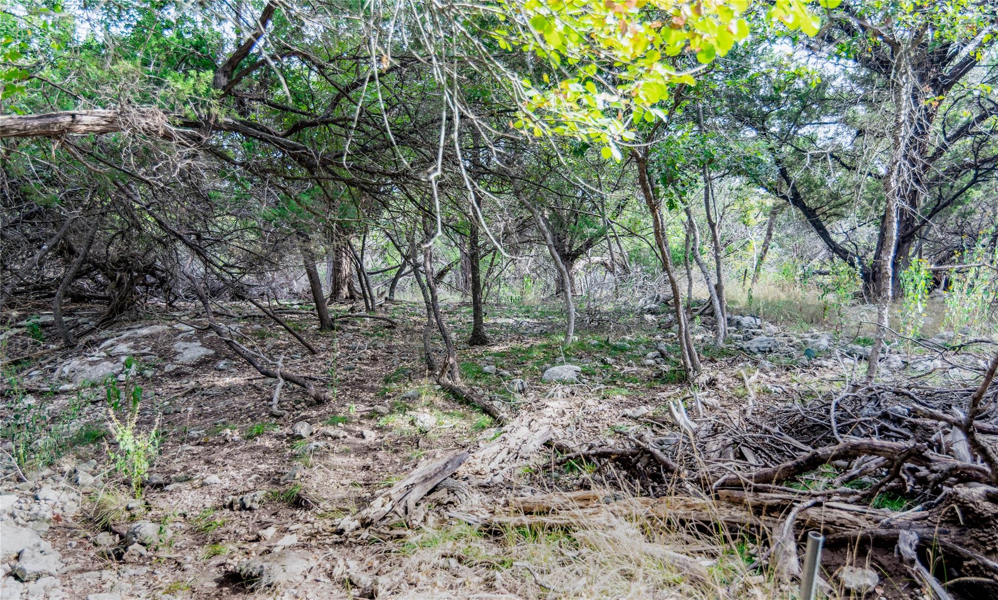 16353 Charlya Dr, Temple, TX 76502