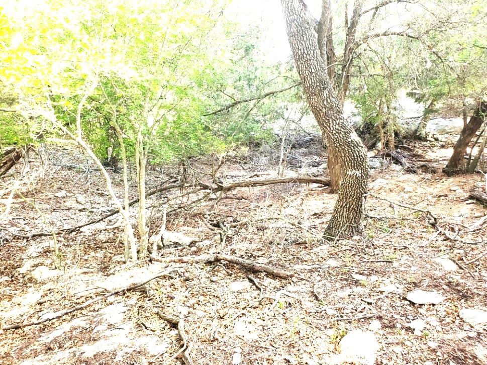 16353 Charlya Dr, Temple, TX 76502