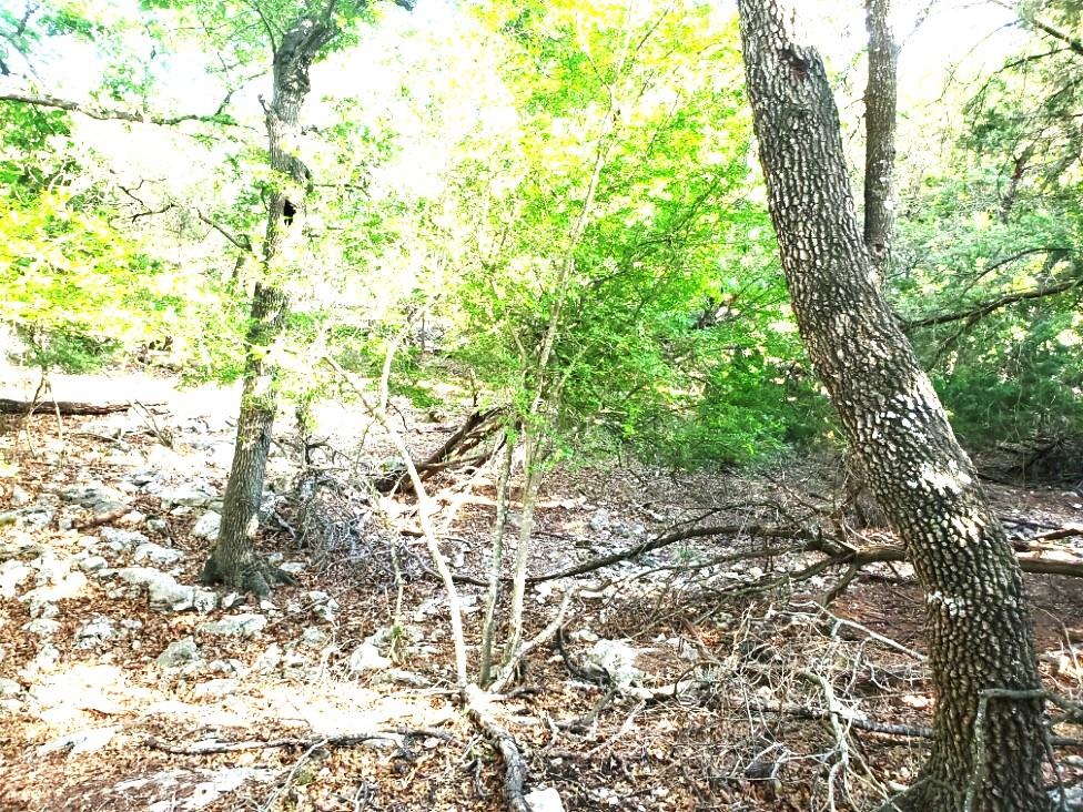 16353 Charlya Dr, Temple, TX 76502