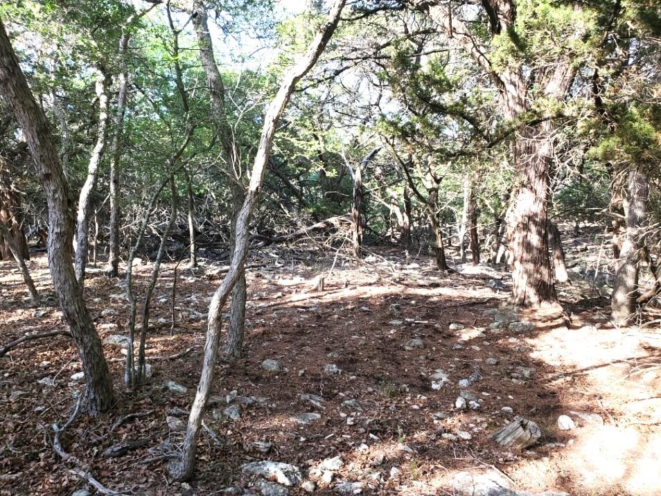 16353 Charlya Dr, Temple, TX 76502