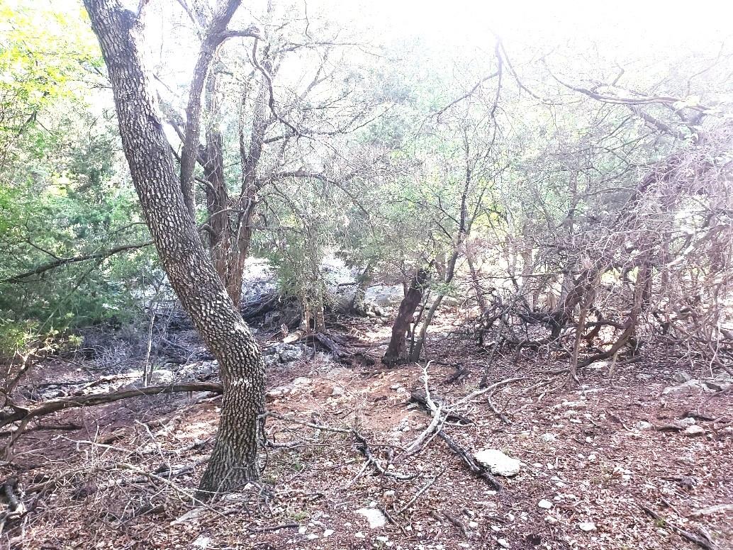 16353 Charlya Dr, Temple, TX 76502